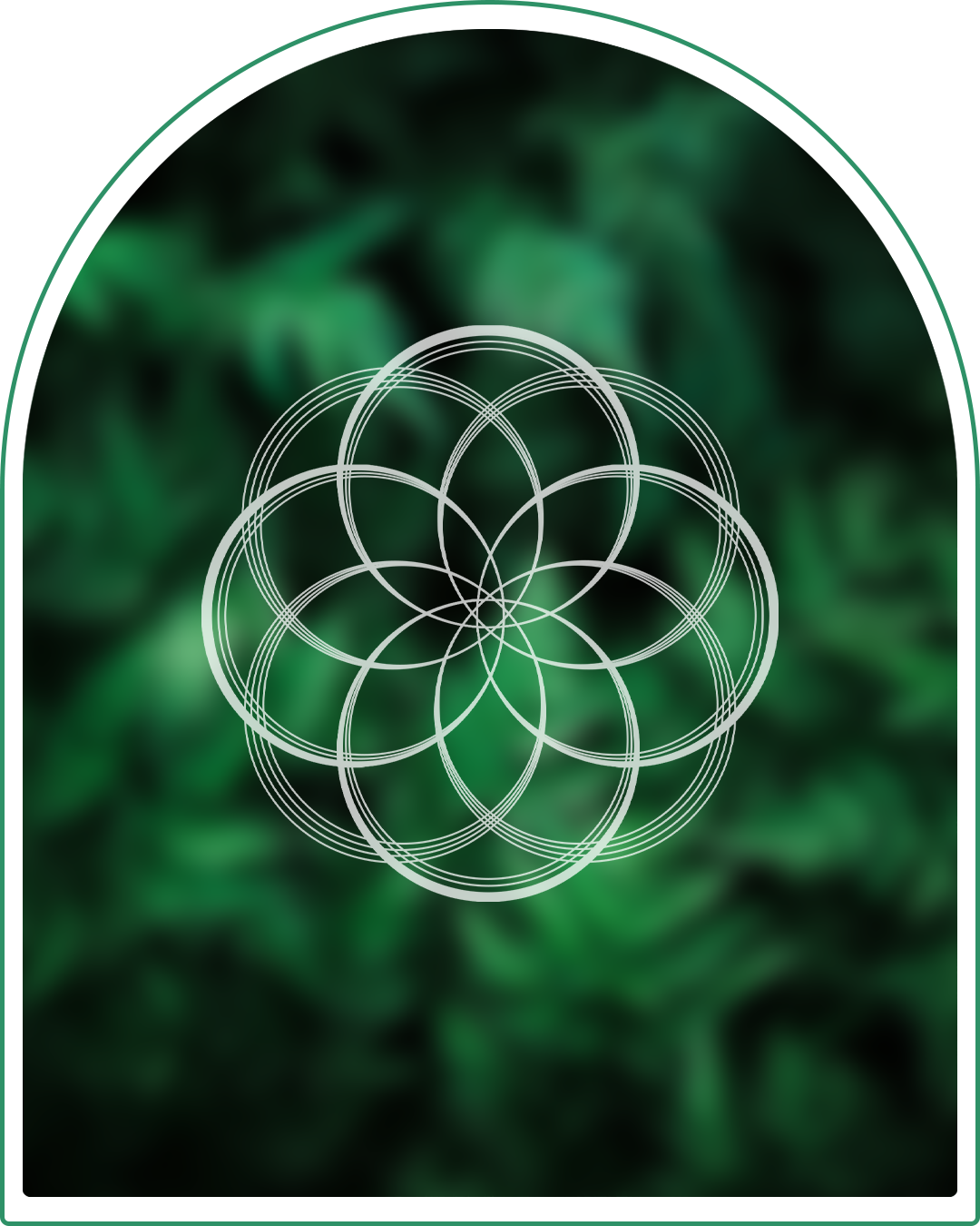 Green Soul Colour